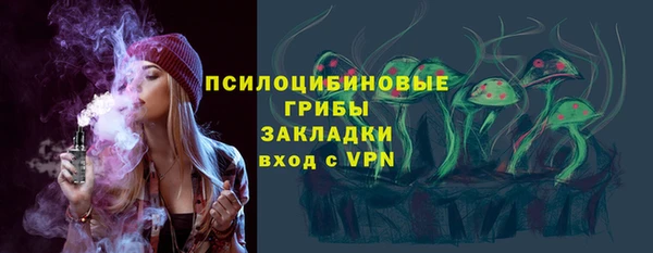 сатива Волоколамск