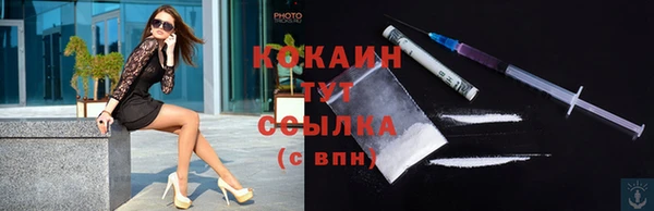 сатива Волоколамск