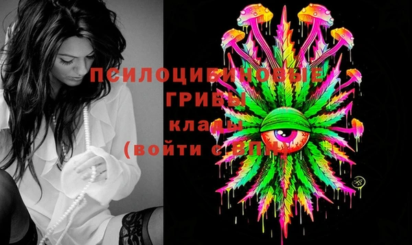 гашик Володарск