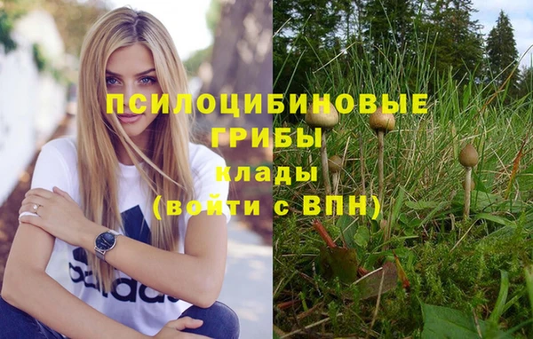 гашик Володарск