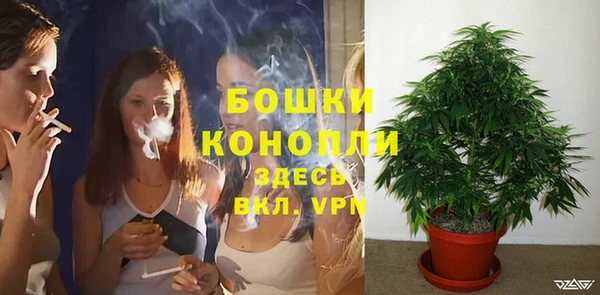 сатива Волоколамск