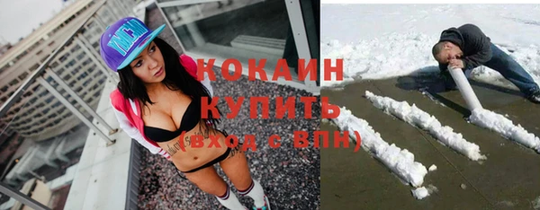 сатива Волоколамск