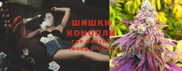 гашик Володарск