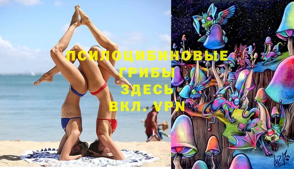 ALPHA PVP Волосово